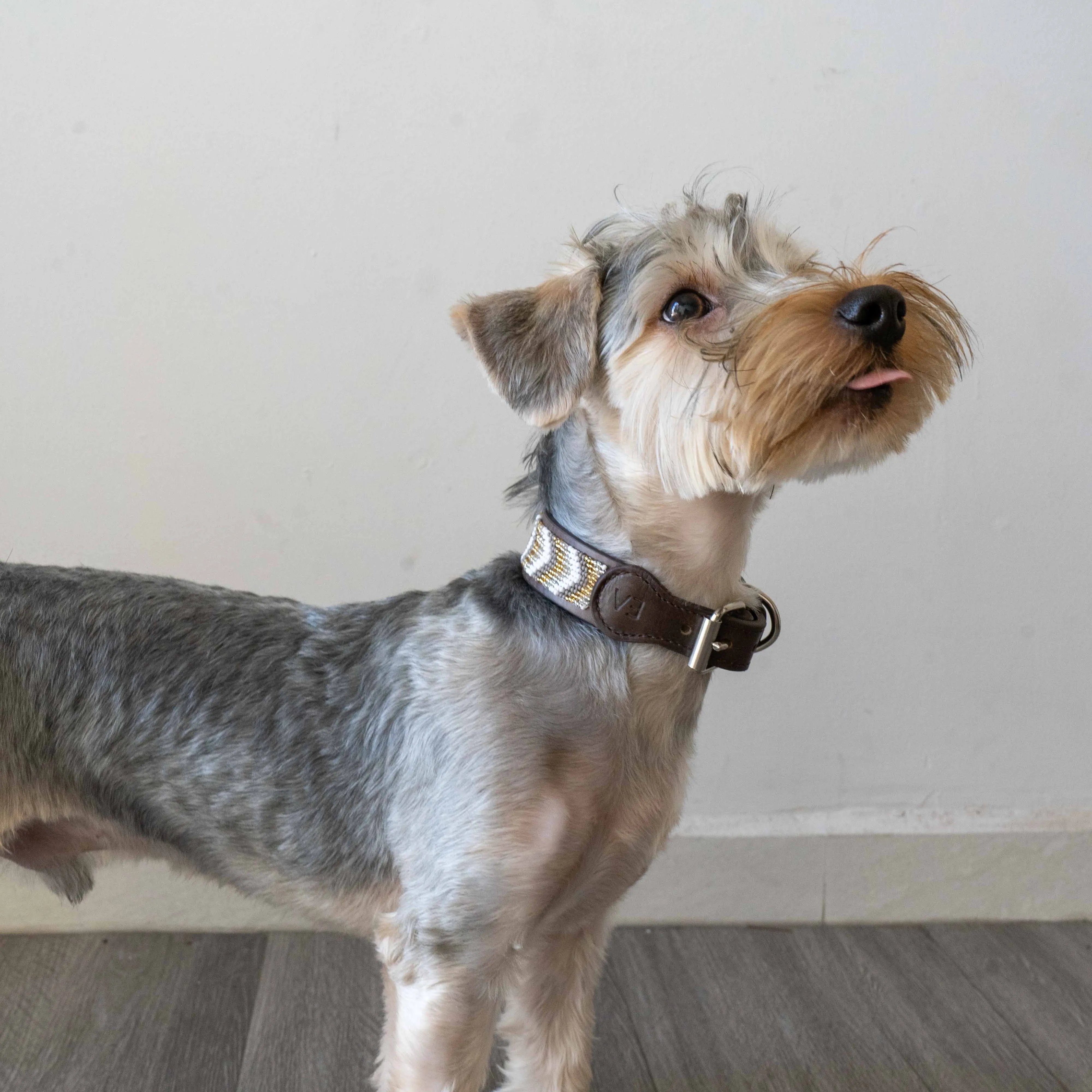 Beaded Dog Collar | Neutrals