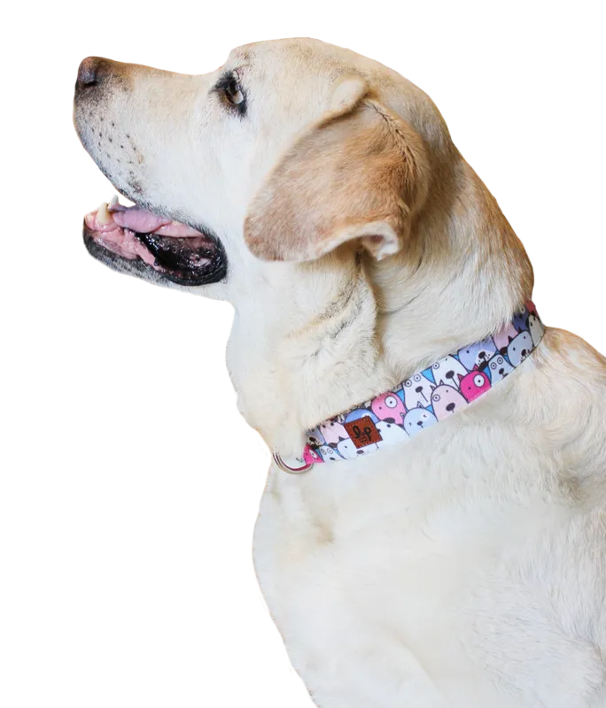 Dog Collar Belt (Blue) - Googly Eyes