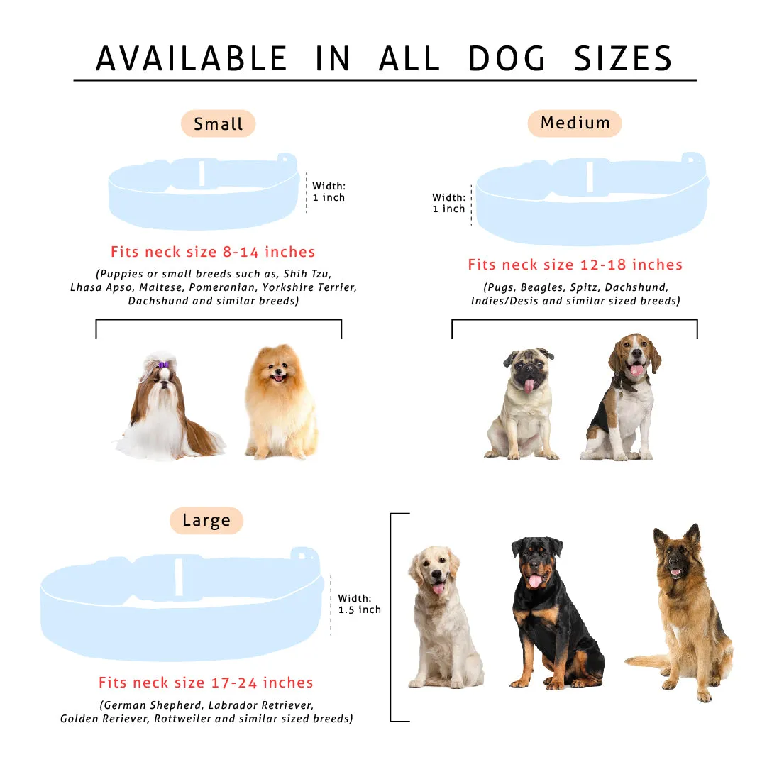 Dog Collar Belt (Blue) - Googly Eyes