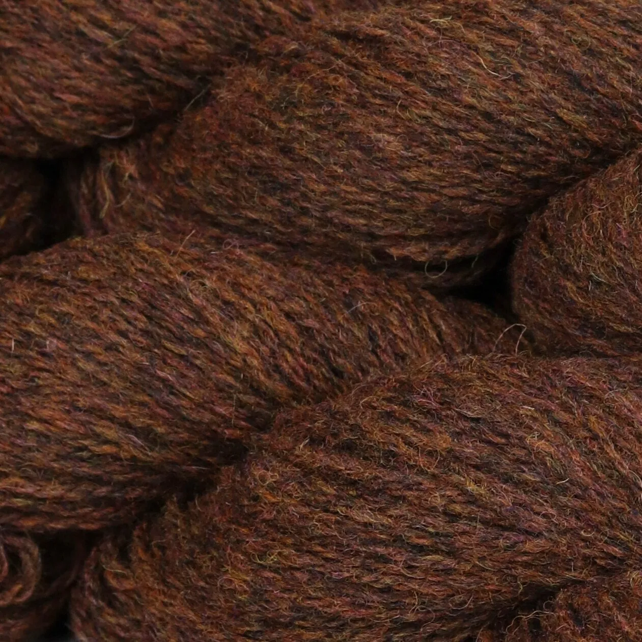 Doocot Kit (Sizes 4-5/Courage)