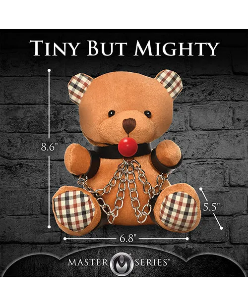 Master Series Gagged Teddy Bear