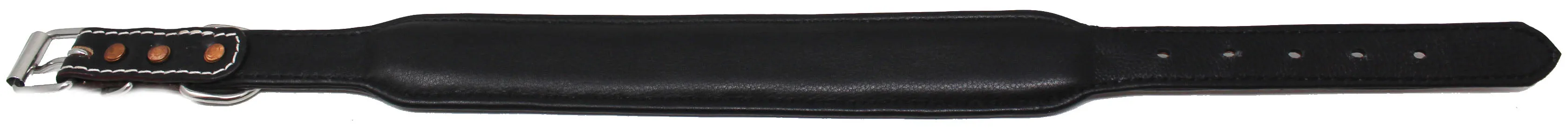 Tooled Padded Leather Dog Puppy Collar 60201