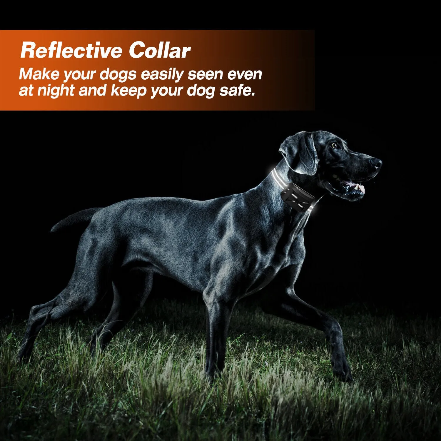 Wireless Dog Fence Wireless Boundary Containment System